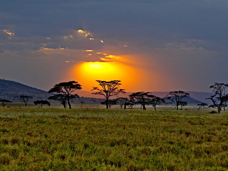 east africa